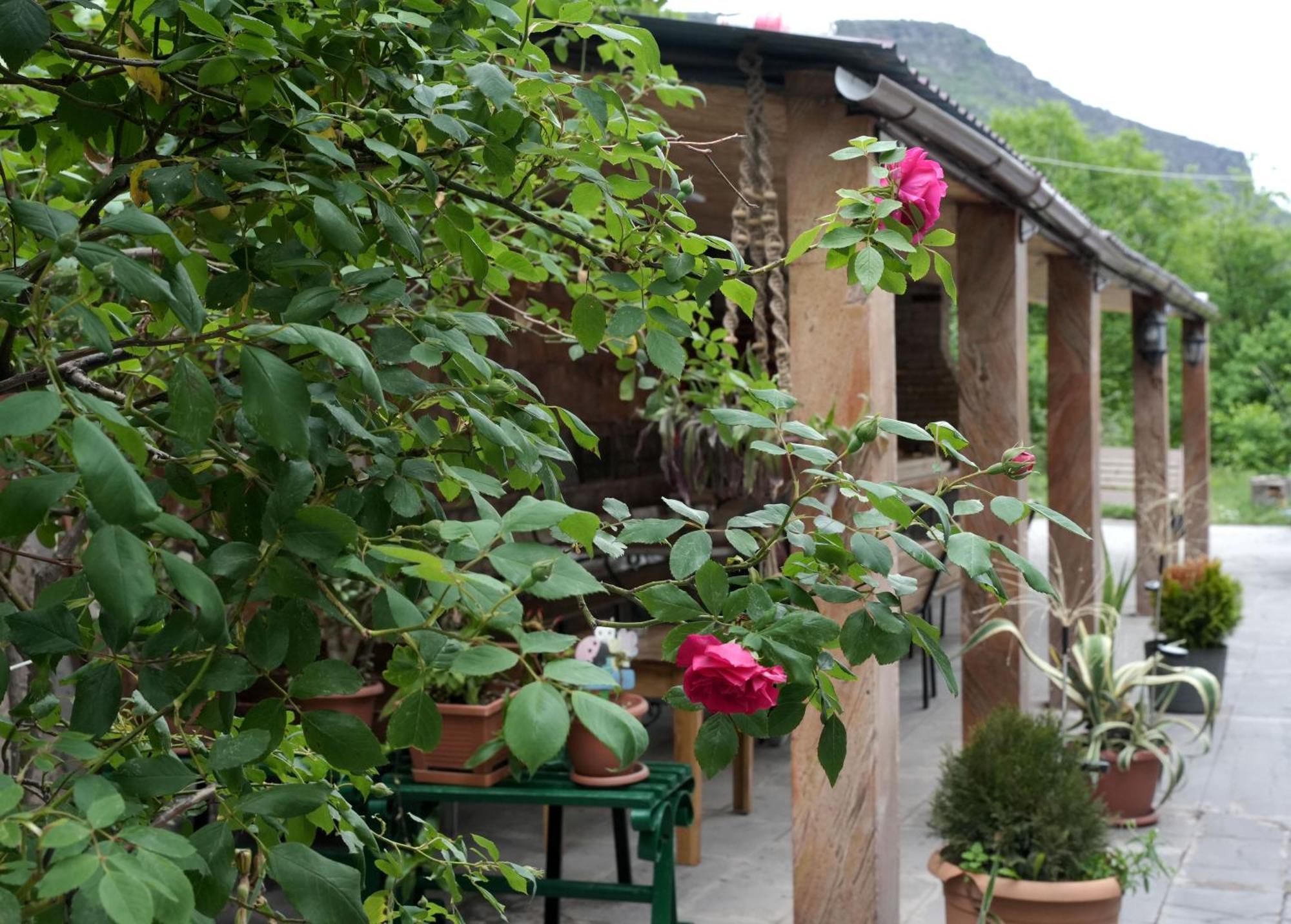 IRIS B&B in DEBED CANYON Alawerdi Exterior foto