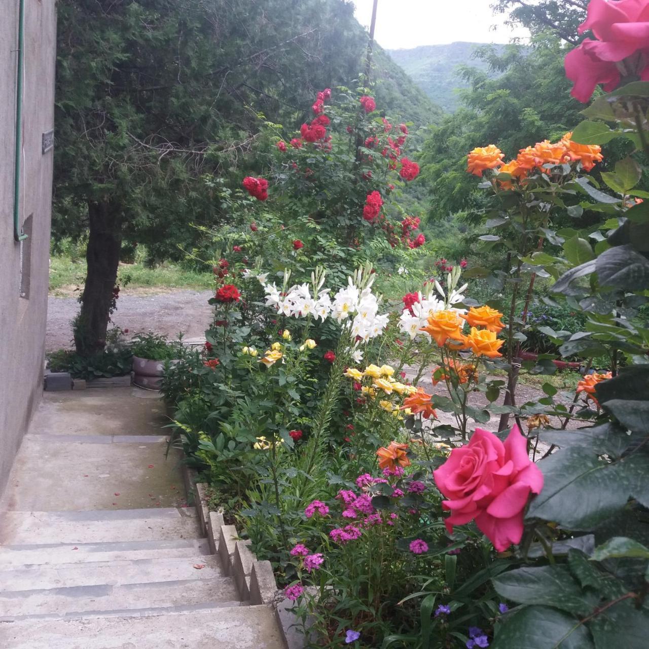 IRIS B&B in DEBED CANYON Alawerdi Exterior foto