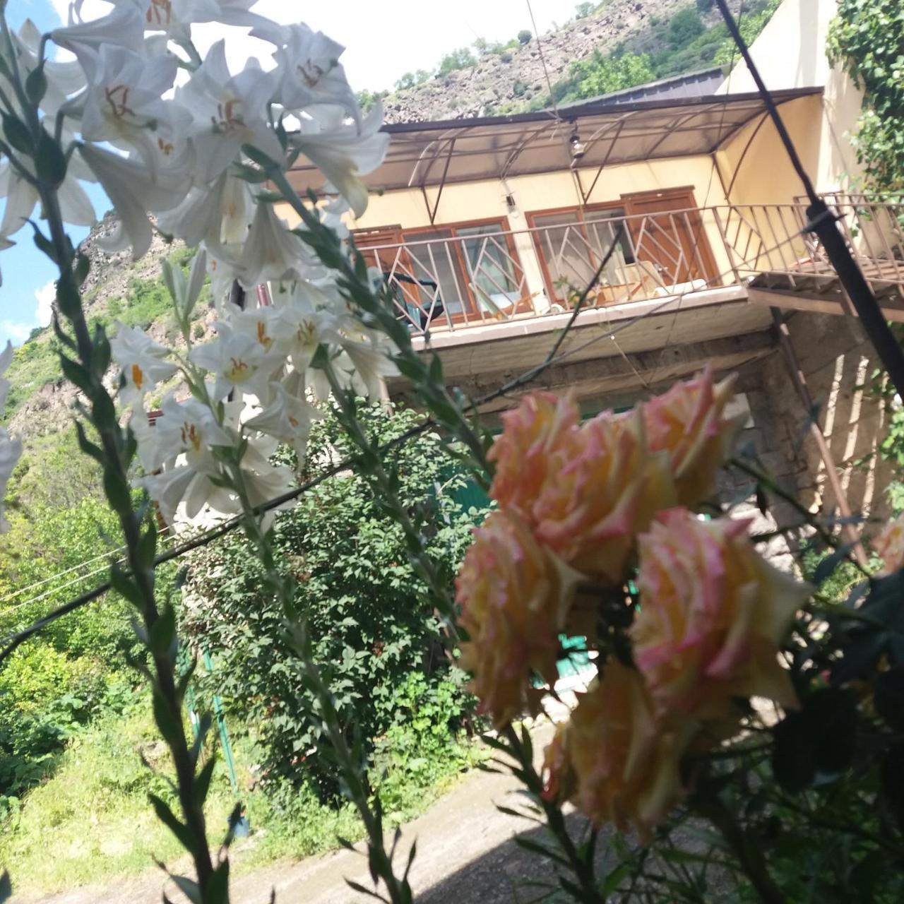 IRIS B&B in DEBED CANYON Alawerdi Exterior foto